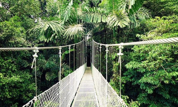 Costa Rica hanging bridge