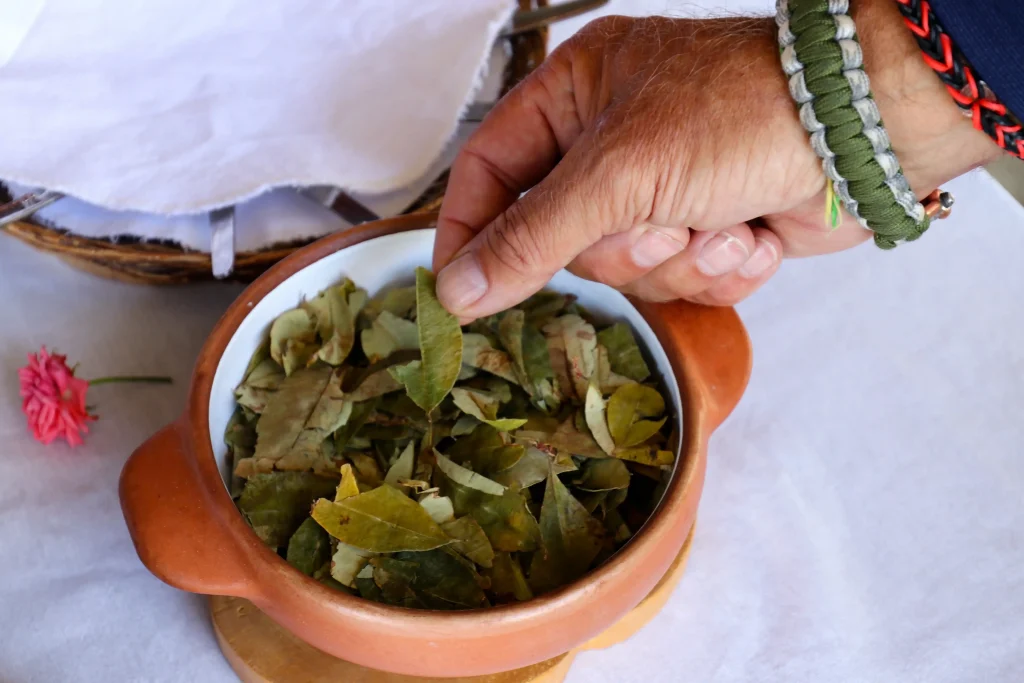 Coca Leaves