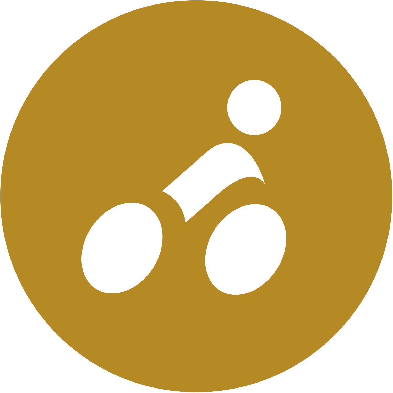 Icon Bike or Ebike
