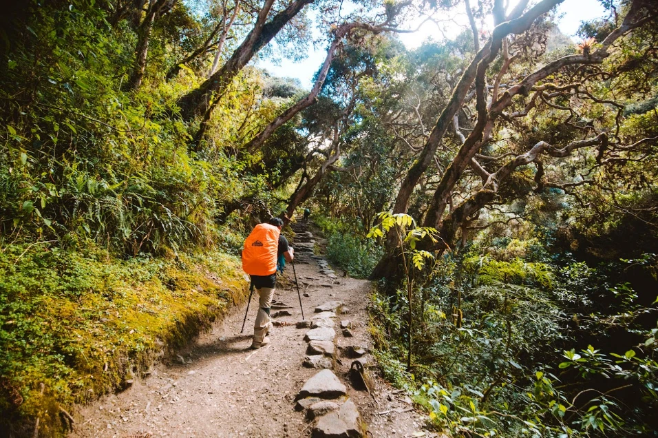 Walking the Inca Trail
