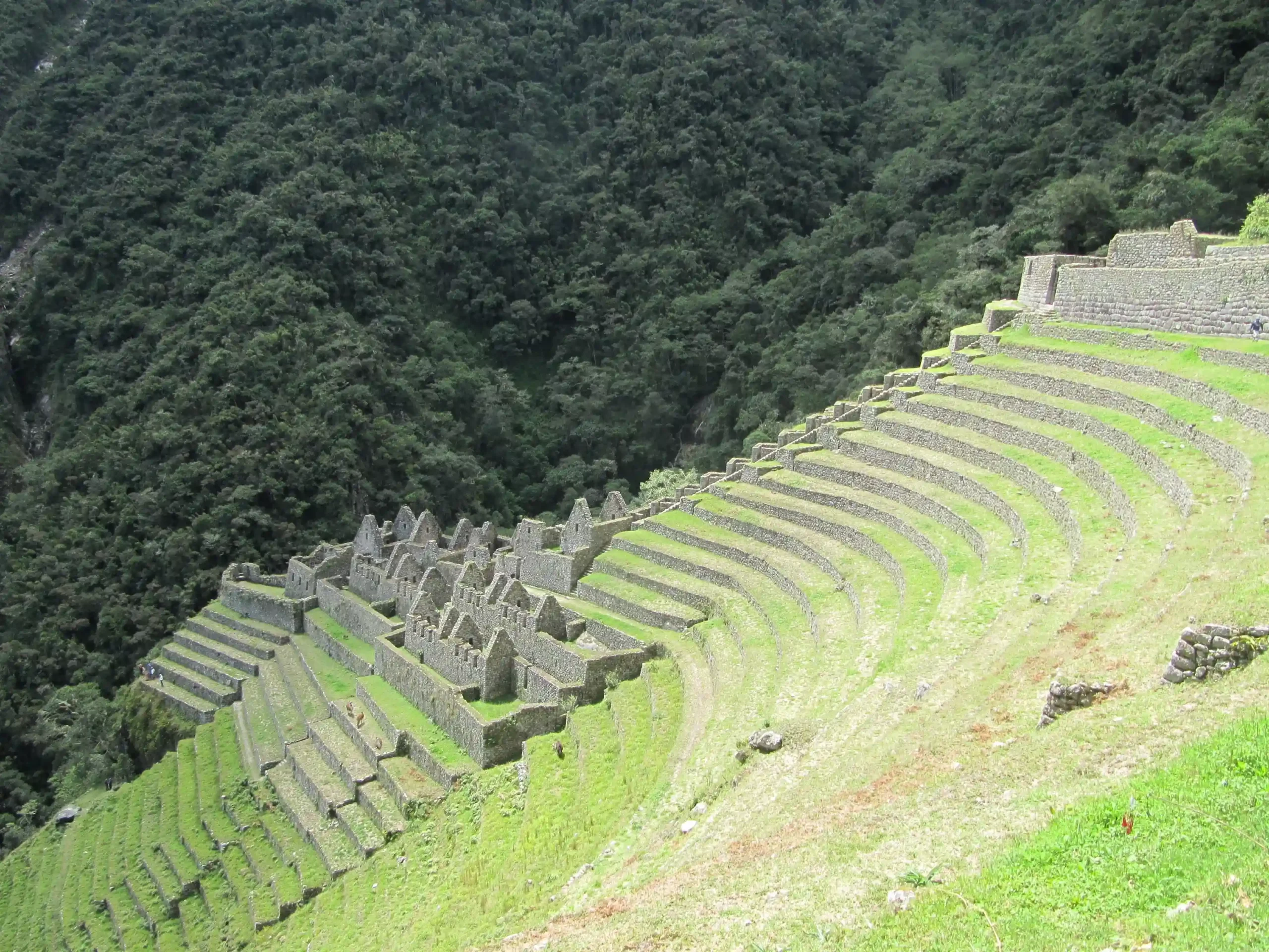 km104 Wiñay Wayna